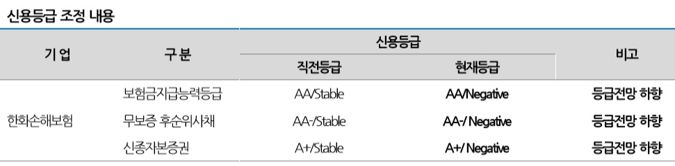 (자료제공=나이스신용평가)