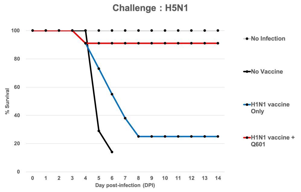 ▲이종 독감백신 접종으로도 항 바이러스 면역 증대 효과 확인 (큐리언트)