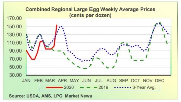 ▲미국 계란 도매가격 추이. 단위 한 판(12개)당 센트. 빨간색: 2020년(3월 23일 153.63센트)/녹색 점선:2019년/파란색 점선: 3년 평균. 출처 농무부

