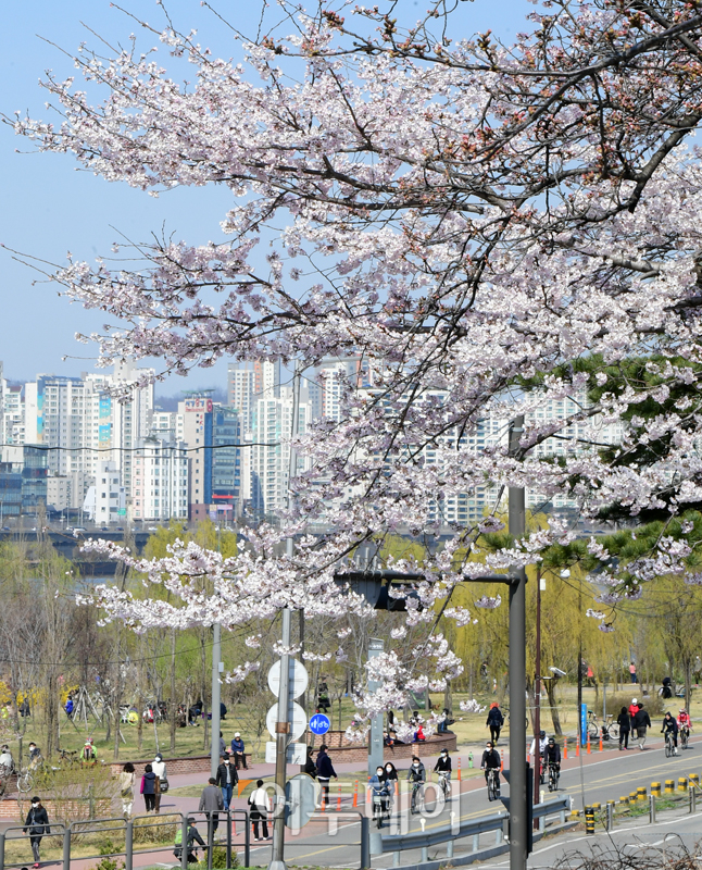 (고이란 기자 photoeran@)