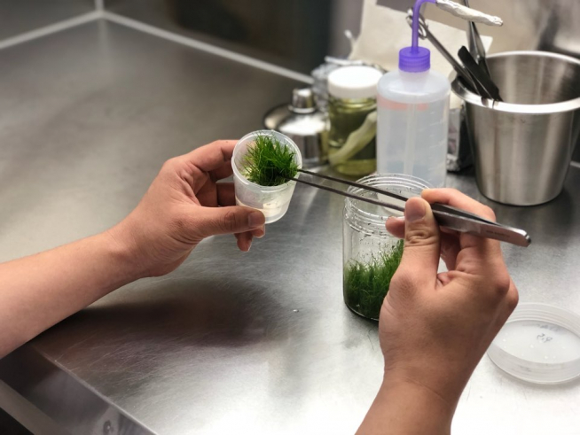 ▲씨알(시흥)에서_수초를 연구하고 있는 모습 (한국사회투자 제공)