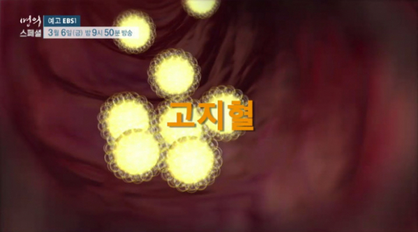 ▲'EBS 명의-대사성 질환' 고혈압, 고지혈, 당뇨 (사진제공=EBS)