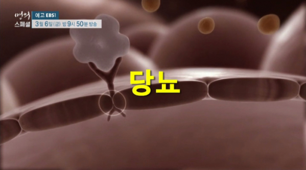 ▲'EBS 명의-대사성 질환' 고혈압, 고지혈, 당뇨 (사진제공=EBS)