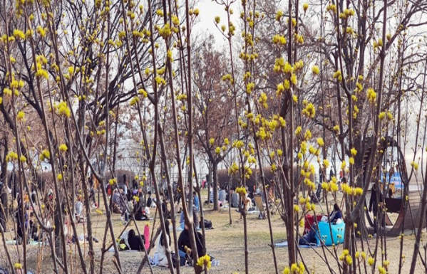 ▲8일 오후 포근해진 날씨에 시민들이 한강시민공원에서 나들이를 즐기고 있다. (사진제공=연합뉴스)