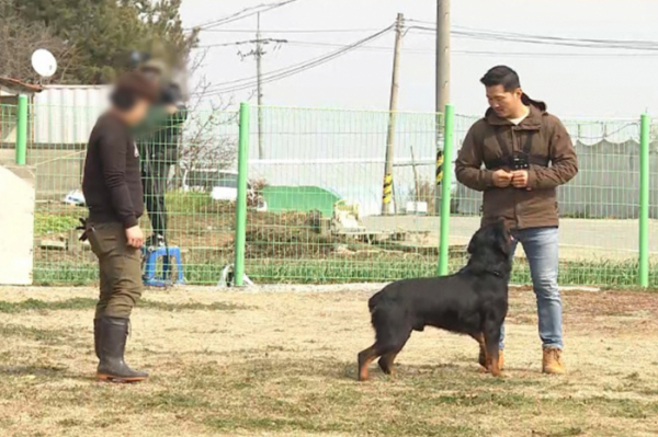 ▲'개는 훌륭하다‘ (사진제공=KBS 2TV)