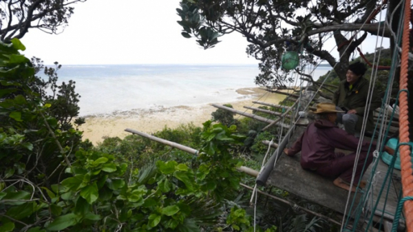 ▲'고립낙원'(사진제공=KBS 2TV)