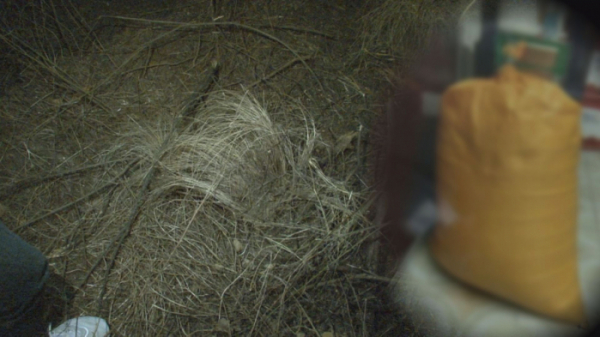 ▲'궁금한 이야기 Y'(사진제공=SBS)