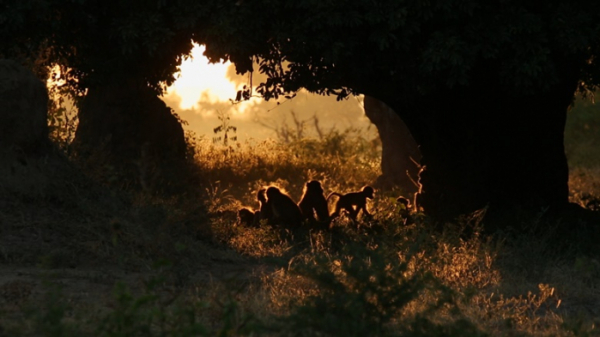 ▲'걸어서 세계속으로'(사진제공=KBS1)