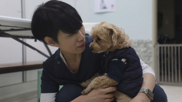 ▲'TV동물농장' 김미경 수의사(사진제공=SBS)