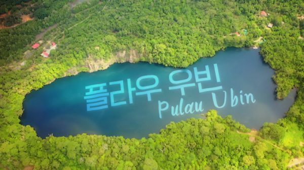 ▲'고립낙원' 박재민 플라우우빈(사진제공=KBS1)