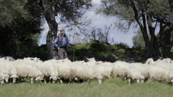 ▲'생로병사의 비밀 스페셜 암과의 전쟁' (사진제공=KBS1)