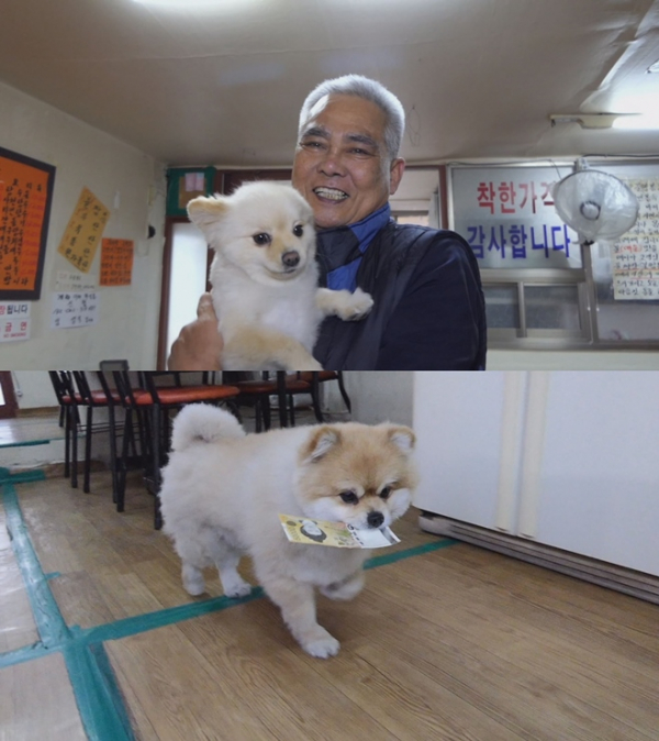 ▲'순간포착 세상에 이런일이'(사진제공=SBS)