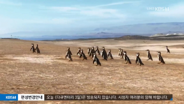 ▲다큐 인사이트 '23.5'  (사진제공=KBS1)