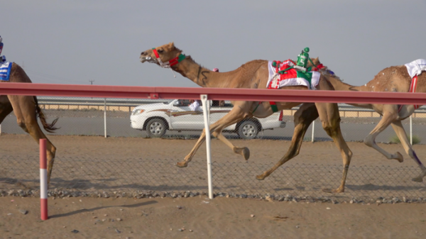 ▲'걸어서 세계속으로' 아라비아(사진제공=KBS1)