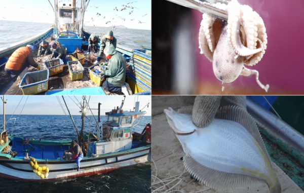 ▲'극한직업'(사진제공=EBS)