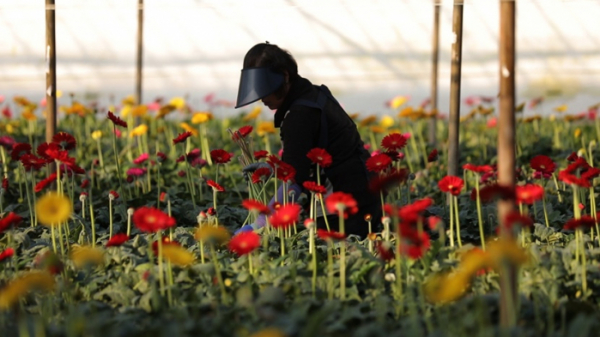 ▲'다큐멘터리 3일'(사진제공=KBS 1TV)