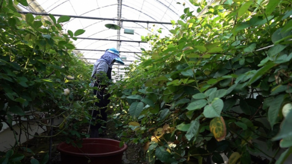 ▲'다큐멘터리 3일'(사진제공=KBS 1TV)