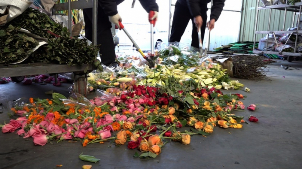 ▲'다큐멘터리 3일'(사진제공=KBS 1TV)