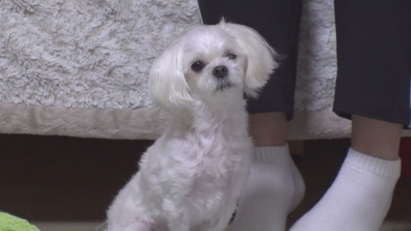 ▲람(사진제공=SBS)