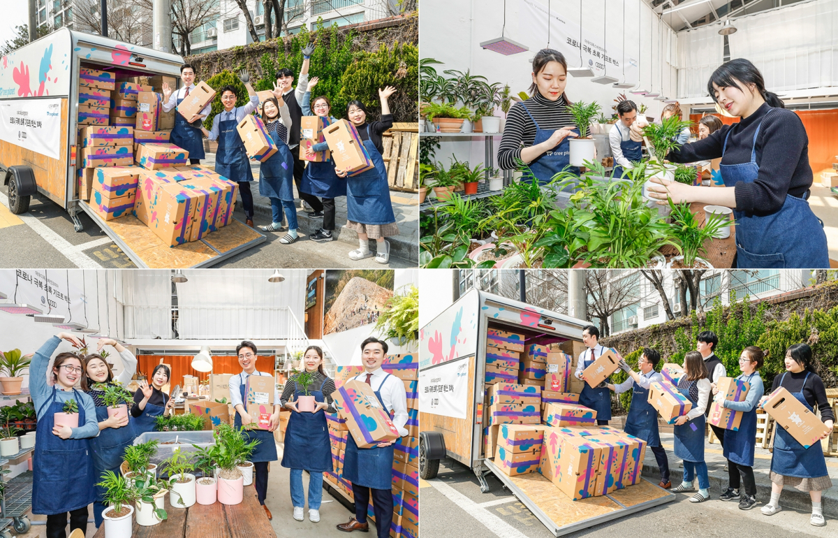 ▲서울 성수동 소재 트리플래닛 온실에서 공동생활센터 아동들에게 보낼 반려나무+손세정제 <코로나 극복 초록 기프트박스>를 패키징하고 있다.

 (사진제공=아우디폭스바겐코리아)