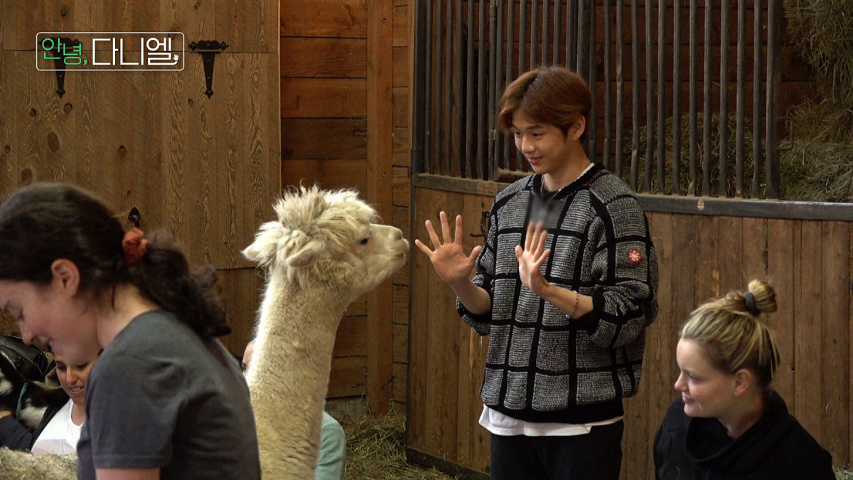 (LG유플러스 제공)