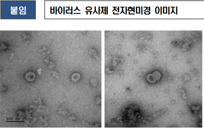 (자료=질병관리본부)