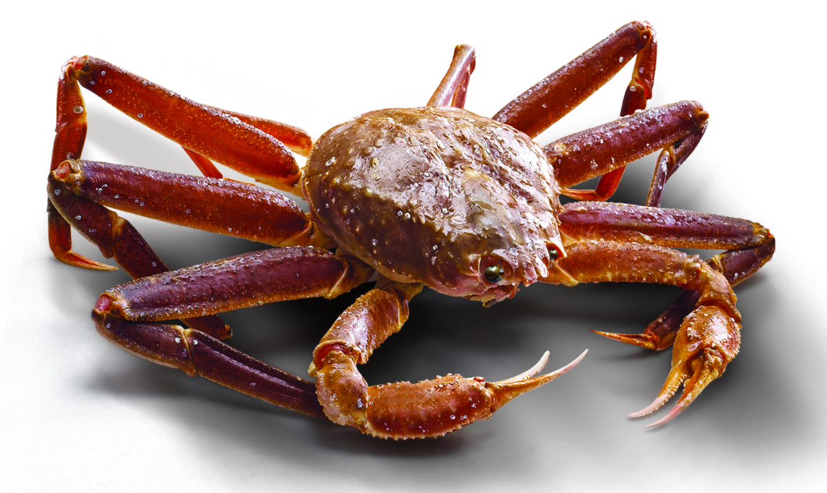 (사진출처=이마트)