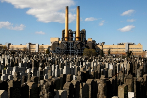 ▲미국 뉴욕 퀸즈에 있는 마운트지온 묘지에 묘비들이 늘어서 있다. 뉴욕/로이터연합뉴스  