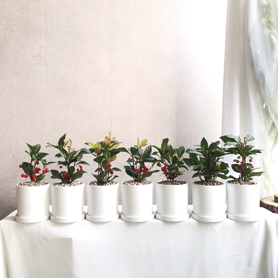 (출처=LG 페이스북)