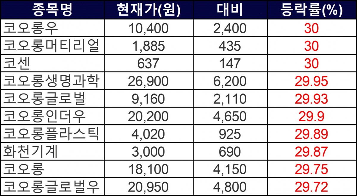 ▲13일 상한가 종목들. (자료=한국거래소)
