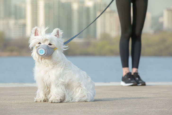 (게티이미지뱅크)