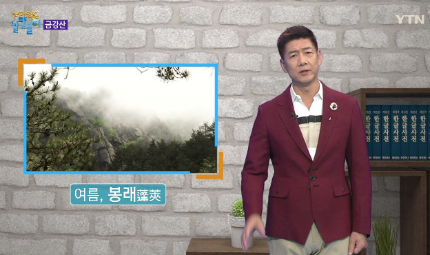 (출처=YTN 캡처 )