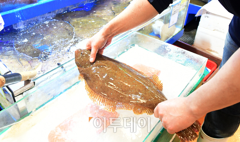 (고이란 기자 photoeran@ )