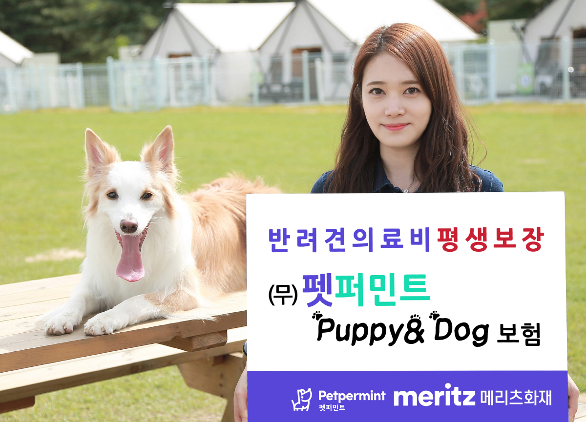 ▲사진제공 메리츠화재