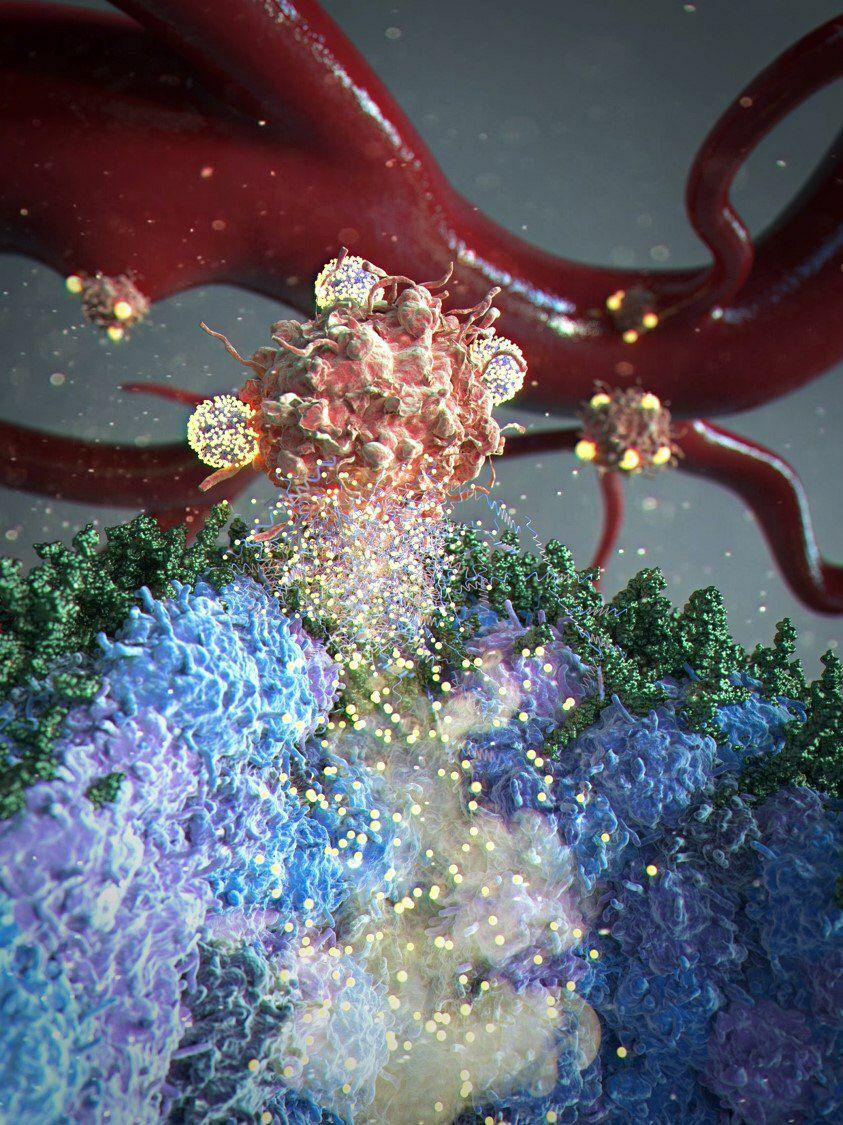 ▲지아이셀이 연구 중인 항암세포치료제 ‘GIC-101'이 국제학술지 ‘어드밴스드 머티리얼즈’ 표지에 선정됐다. (지아이셀)