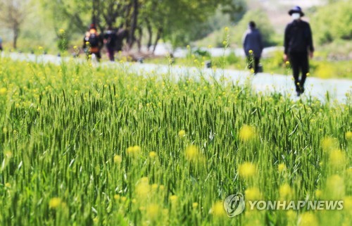 (제공=연합뉴스)