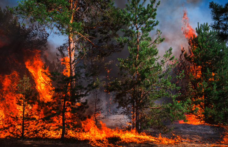 (게티이미지뱅크)