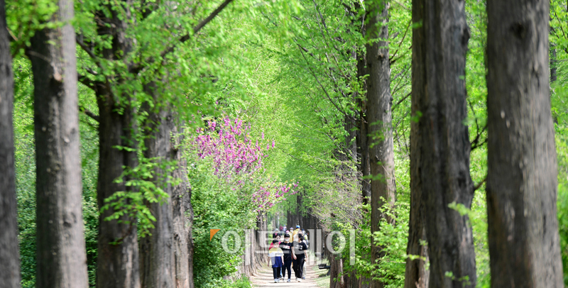 (고이란 기자 photoeran@)