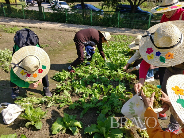 ▲서울시농업기술센터가 지난 2019년에 운영한 생애주기별 치유농업 프로그램 장면(사진 서울시농업기술센터 제공)