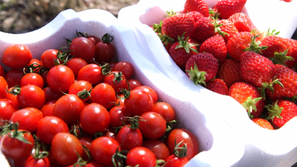 ▲'한국인의 밥상'(사진제공=KBS 1TV)