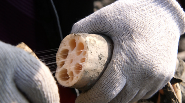 ▲'한국인의 밥상'(사진제공=KBS 1TV)