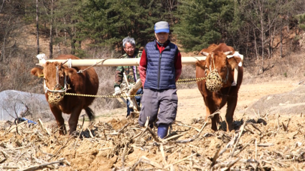 ▲'한국인의 밥상'(사진제공=KBS 1TV)
