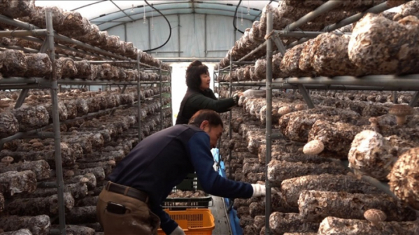 ▲'다큐멘터리3일' 구례 냉천마을(사진제공=KBS1)