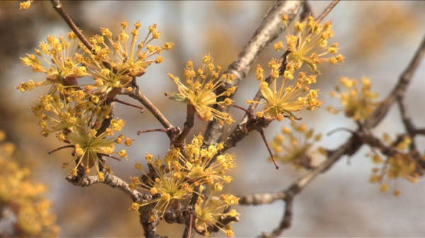 ▲'다큐멘터리3일' 구례 냉천마을(사진제공=KBS1)