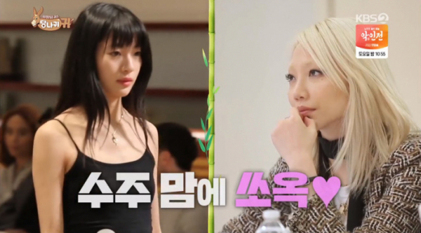 ▲클레어 수주(사진=KBS2 '사장님 귀는 당나귀 귀' 방송화면 캡처)