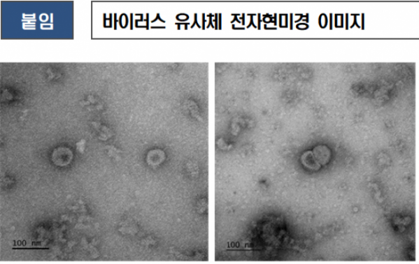 (자료=질병관리본부)