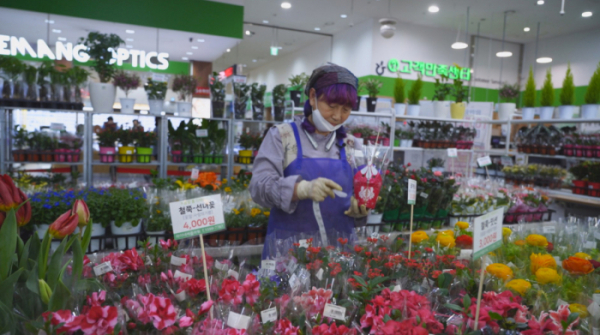 ▲'서민갑부'(사진제공=채널A)