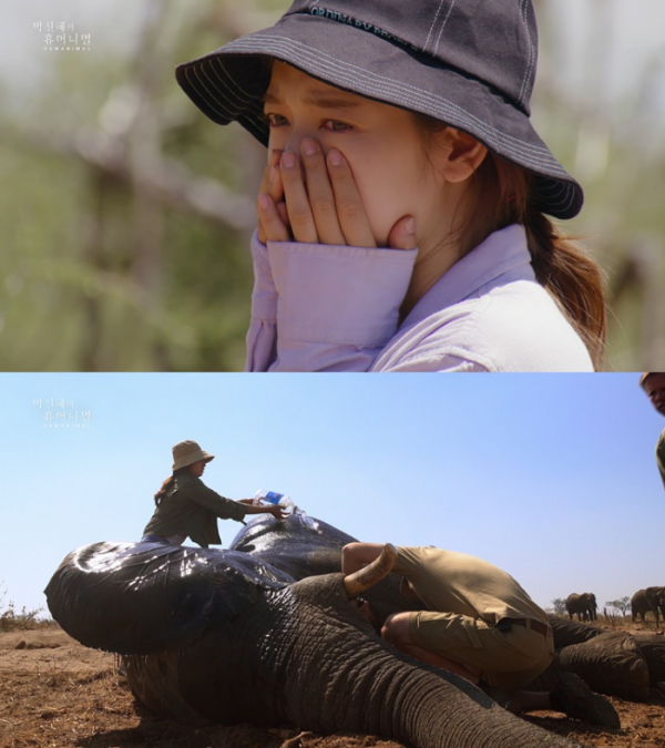 ▲‘박신혜의 휴머니멀’(사진제공=MBC)