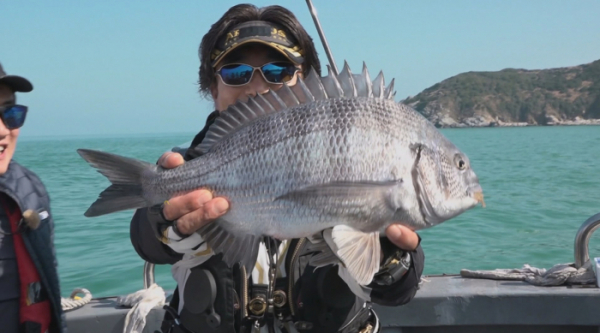 ▲'도시어부2'(사진제공=채널A)