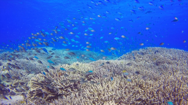 ▲'걸어서 세계속으로' (사진제공=KBS 1TV)